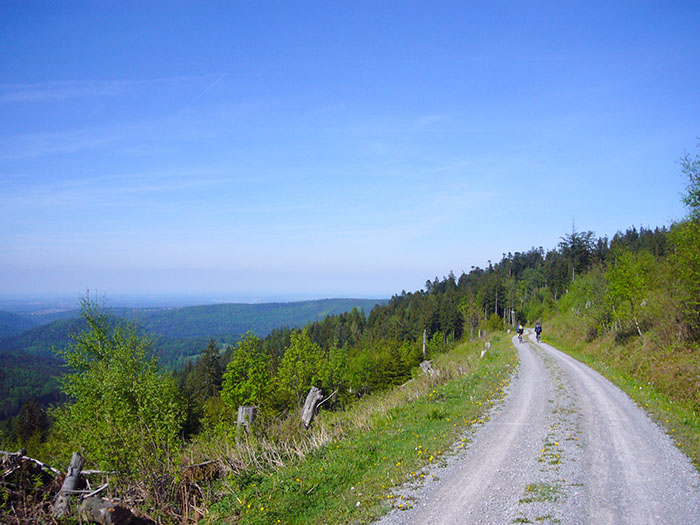 Weg zur Hahnenfalzh&uuml;tte