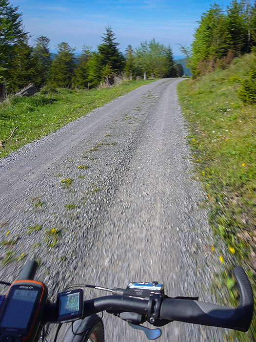 Auf dem Weg nach Dobel