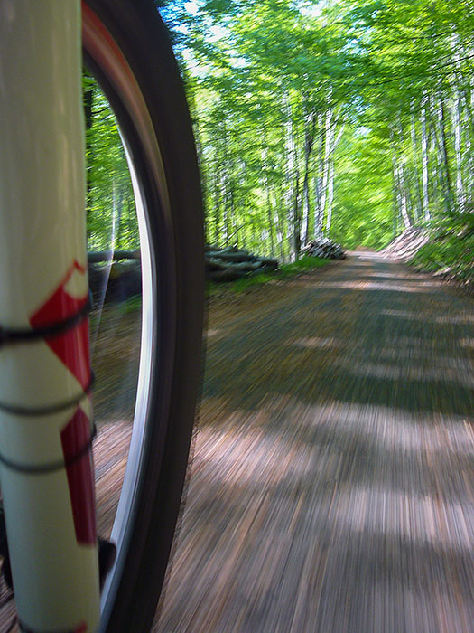 Das letzte St&uuml;ck rolle ich auf dem Albtal-Radweg Richtung Heimat