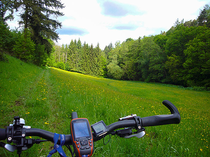 Lehmiger Weg (sieht man hier kaum) am Rand einer sch&ouml;nen Lichtung