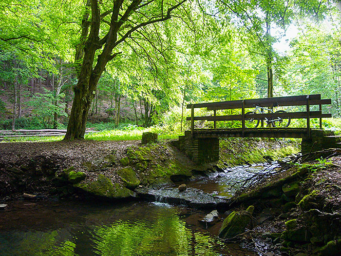 Br&uuml;cke &uuml;ber den Feldrennacher Bach