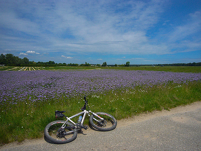 Das Rad ist nicht m&uuml;de ...