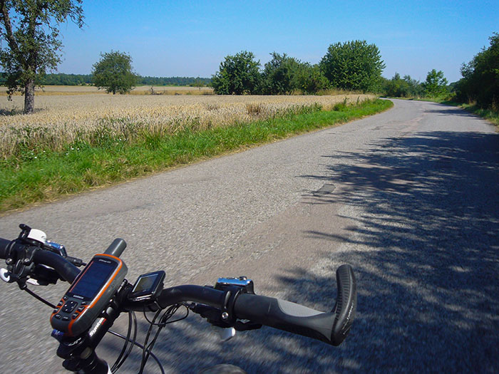 Getreidefelder bei B&uuml;chig