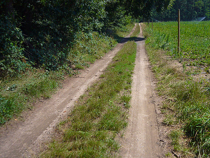 Da hinten wird es gleich feucht, bei den Temperaturen nicht unbedingt schlecht ;-)