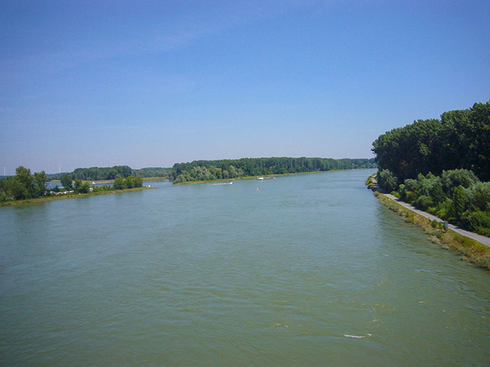Der Rhein bei Germersheim