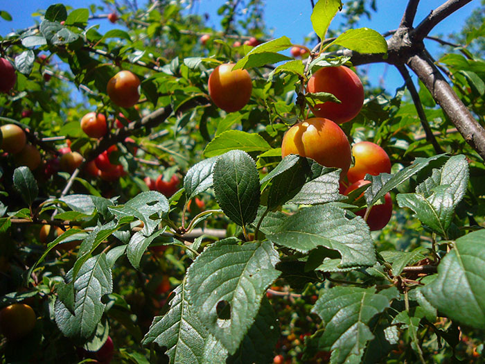 ... und am Wegesrand ;-)