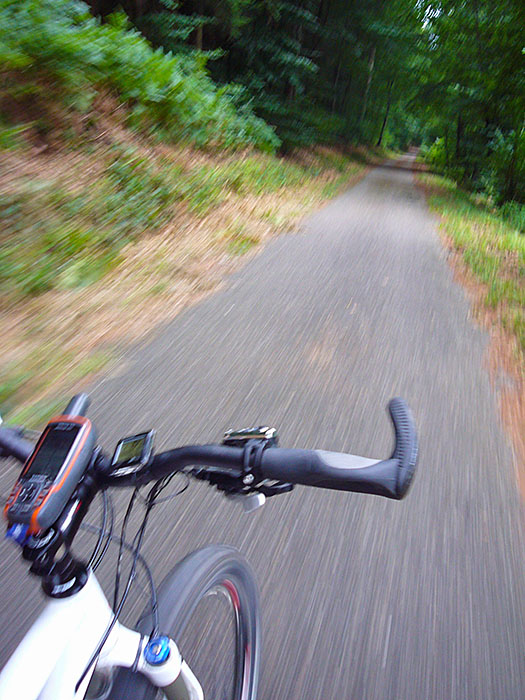 Auf dem Albtalradweg ...