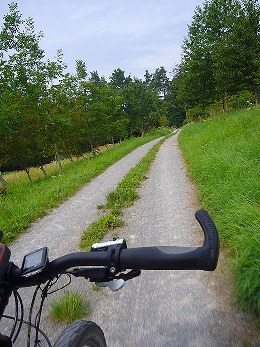 Auf Wiesen- und Waldwegen ...