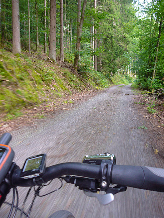 Abw&auml;rts ins Albtal