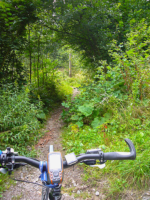 Manchmal sind die Wege schmal