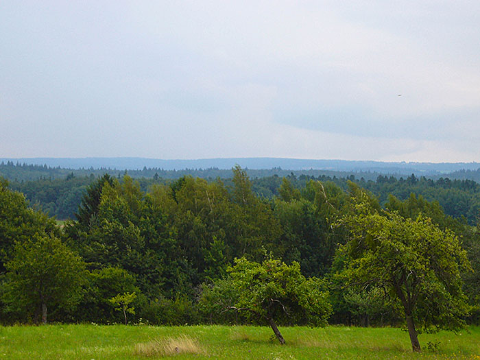 Bei V&ouml;lkersbach donnert es, dunkle Wolken t&uuml;rmen sich auf