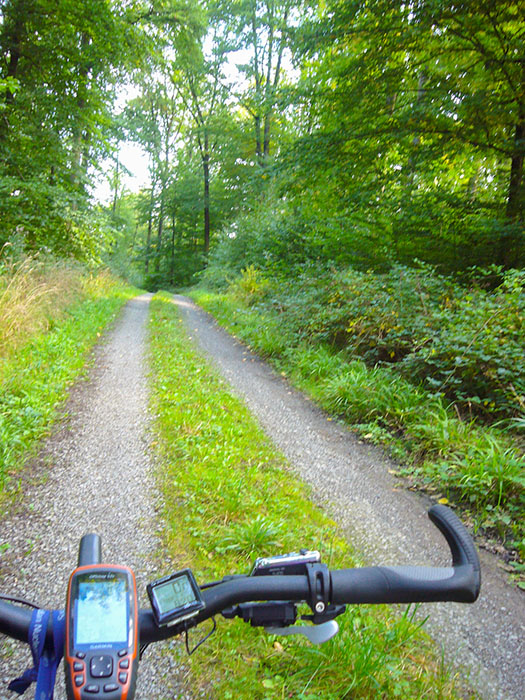 Durch den Wald nach S&ouml;llingen