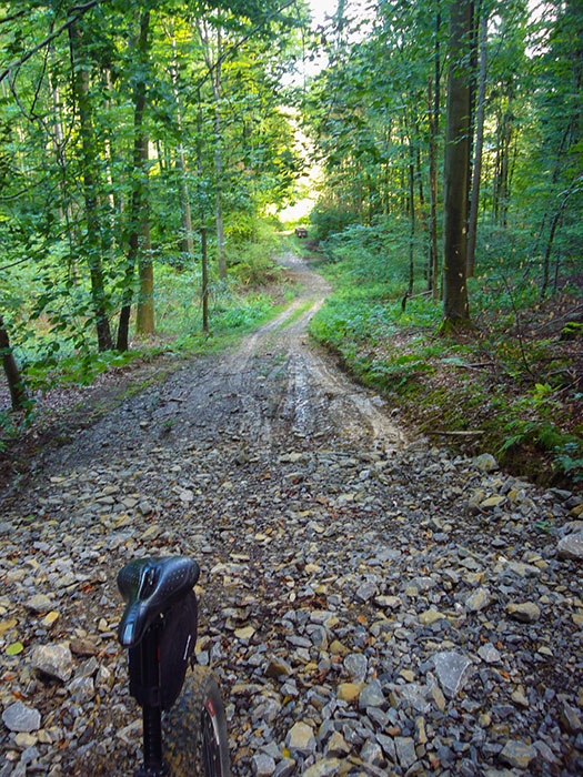 Ich geb's zu, hier habe ich das letzte St&uuml;ck geschoben ...