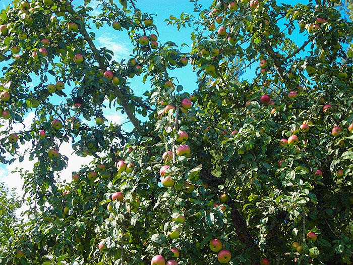 ... tragen auch schon schwer an ihrer Last