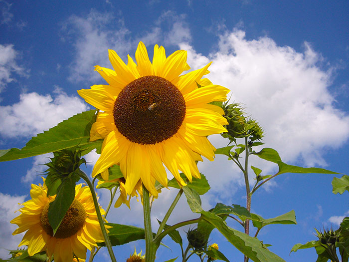 Die Sonne scheint ;-)