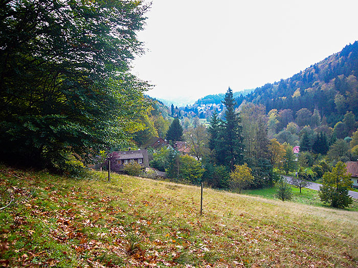 Blick zur&uuml;ck nach Bad Herrenalb