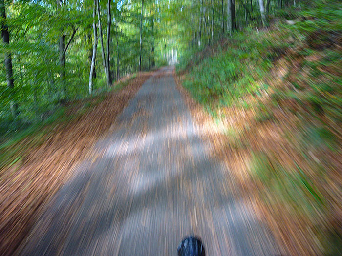 Jetzt aber schnell nachhause, der Kuchen wartet ;-)