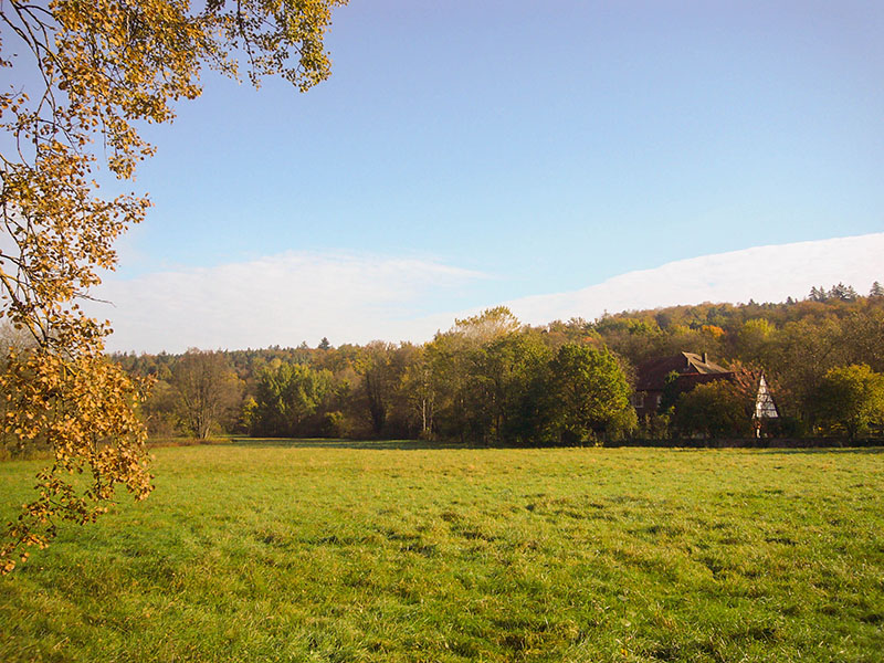 Herbstliche Landschaft
