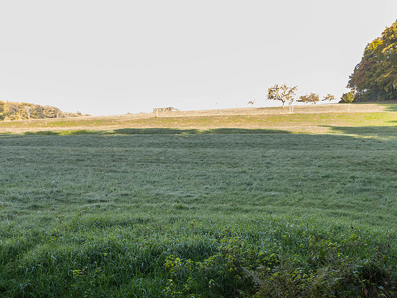 Tau liegt noch auf den schattigen Wiesen