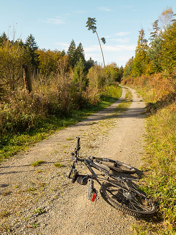 Hatatitla ist m&uuml;de ;-)