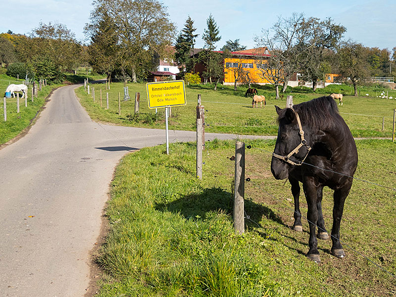 ... bei Rimmelsbacherhof