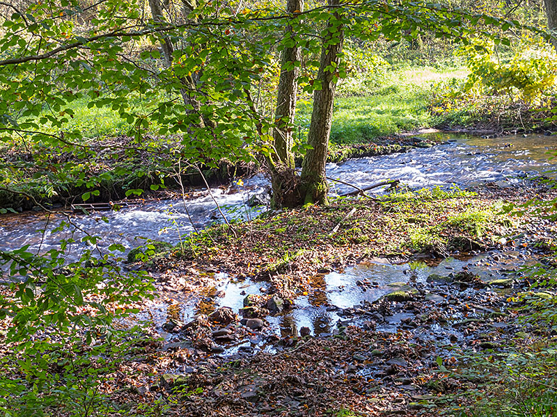Die Alb gurgelt vor sich hin