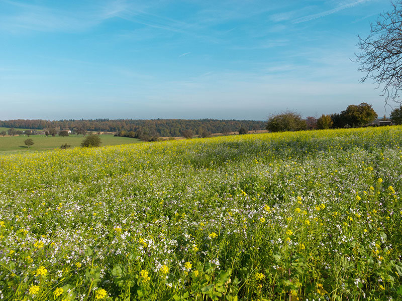 ... da fahre ich lieber in die andere, sonnige Richtung