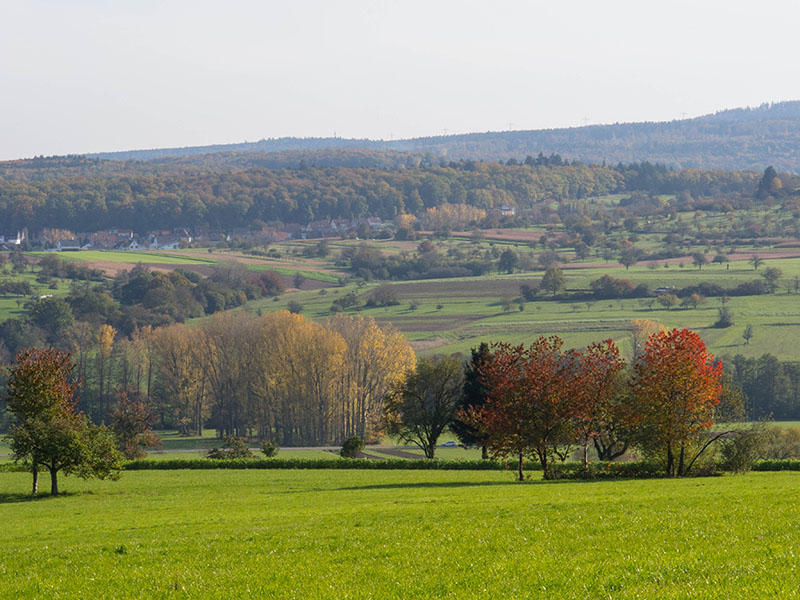 Herbstliche Landschaft