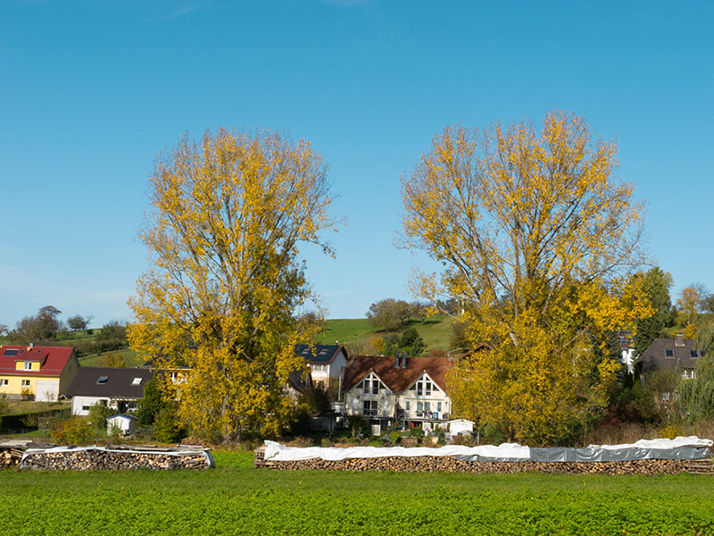 Herbstliche Landschaft