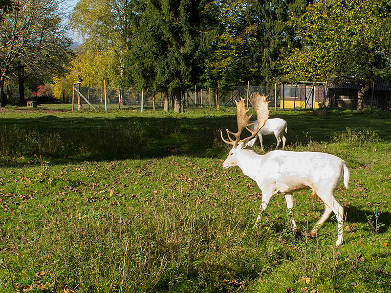 Kurze Rast bei Bad Herrenalb