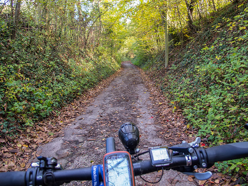 Steiler Weg zum Wanderheim Alte Reut