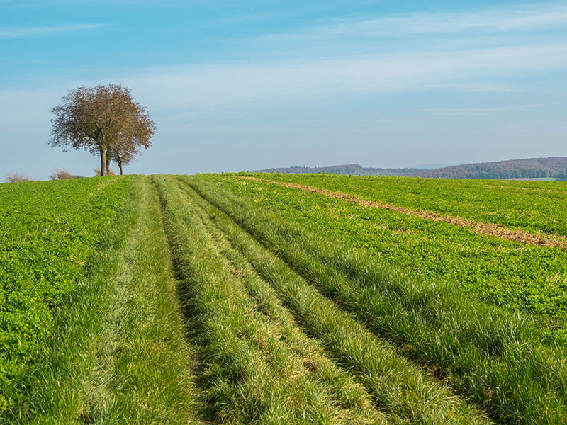 "Gipfel" des Heuberg