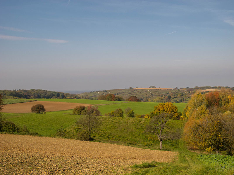 Blick vom Heuberg Richtung Weingarten