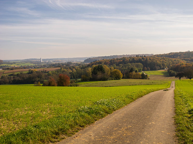 Abfahrt zum Prinzh&ouml;lzle