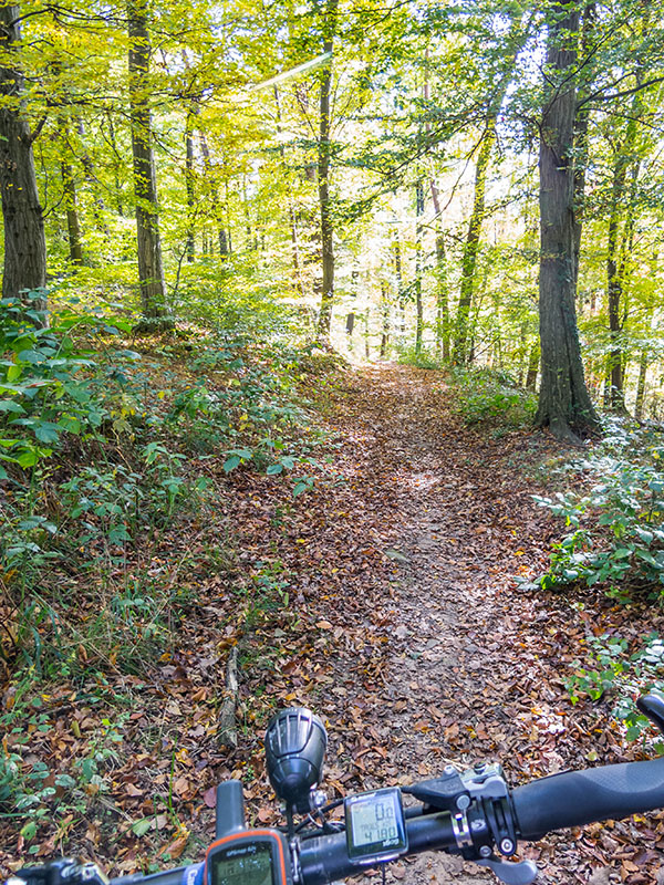 Trail nach Kleinsteinbach