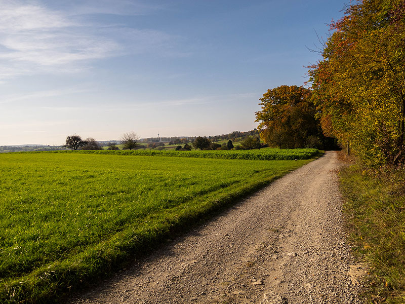 Anstieg zum Thomashof