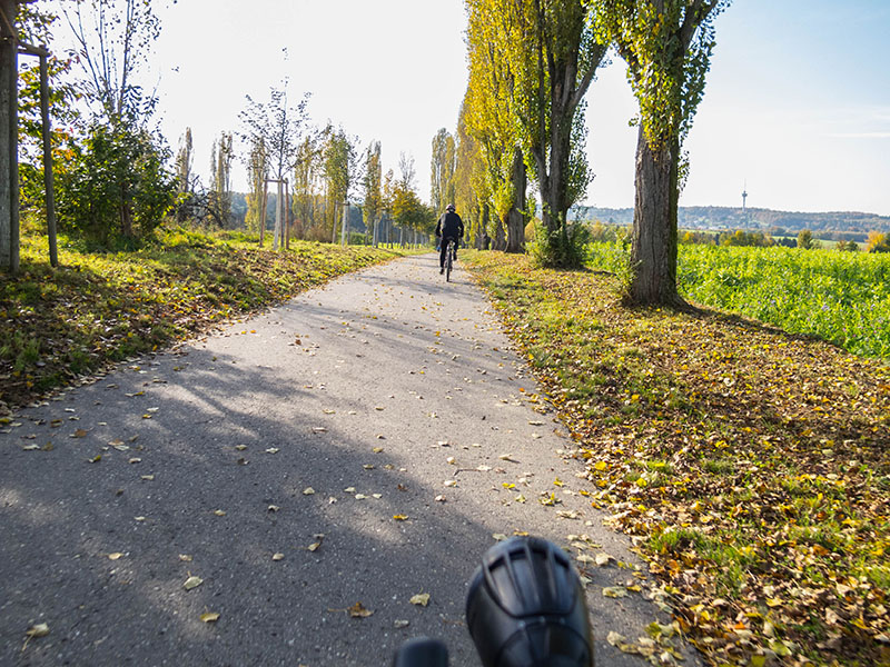 Allee zum Batzenhof, fast Zuhause ;-)