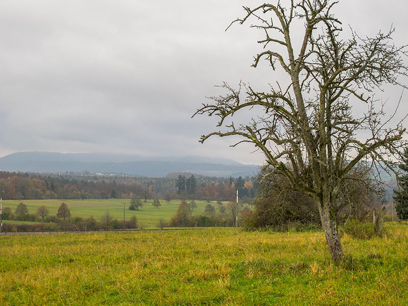 Hochnebel &uuml;ber dem Nordschwarzwald