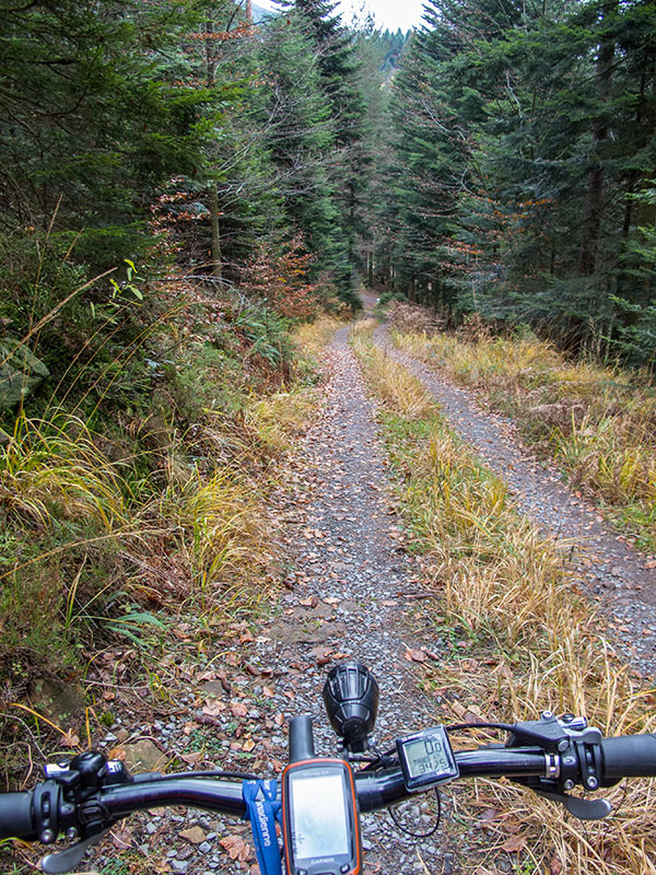 Waldweg nach Bad Herrenalb