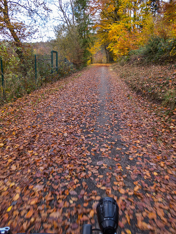 Jetzt aber schnell nach Hause