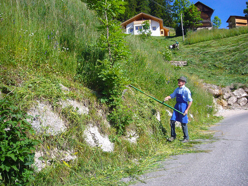 Wenn die abends fertig sind, brauchen die kein Fahrrad mehr zum Plagen ;-)