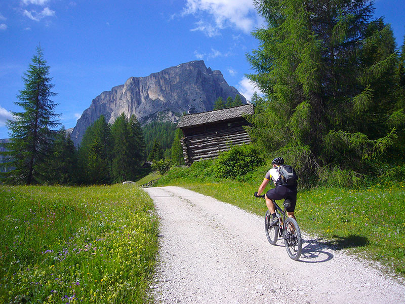 Ab und zu steht eine H&uuml;tte am Weg ...