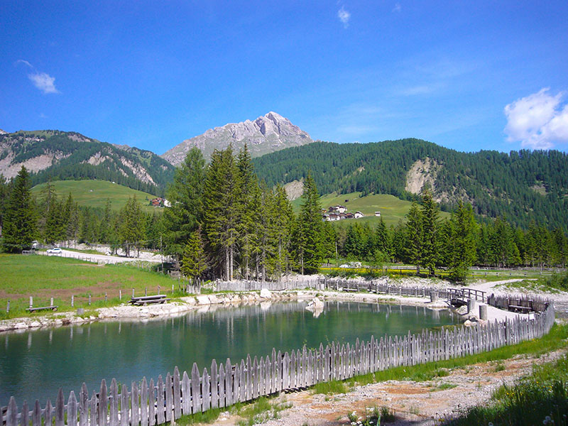 Fischteich in der N&auml;he ...