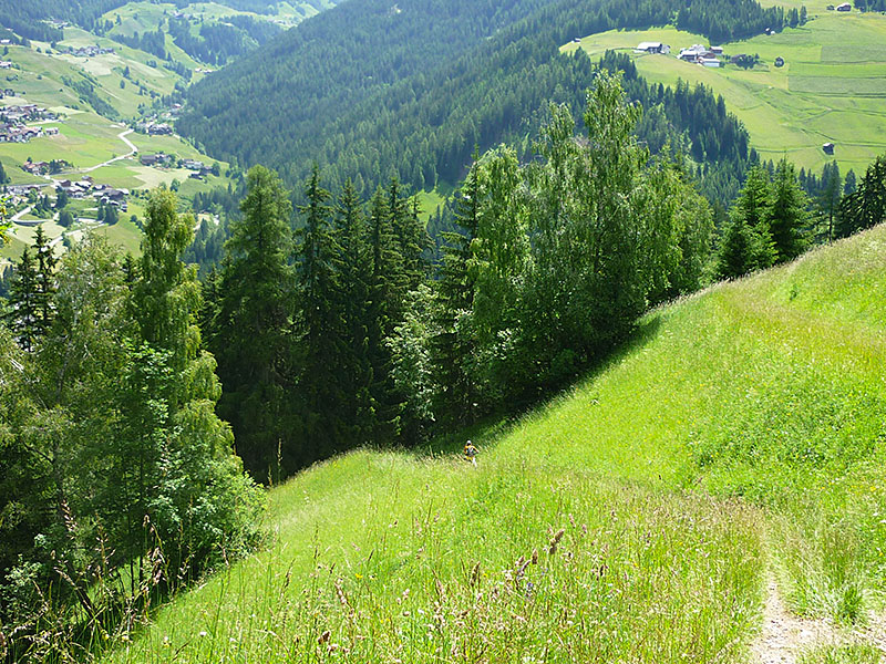 ... &uuml;ber Wiesenwege ...