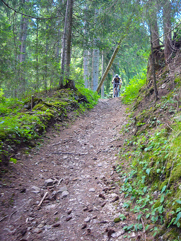 ... und auf Waldpfaden