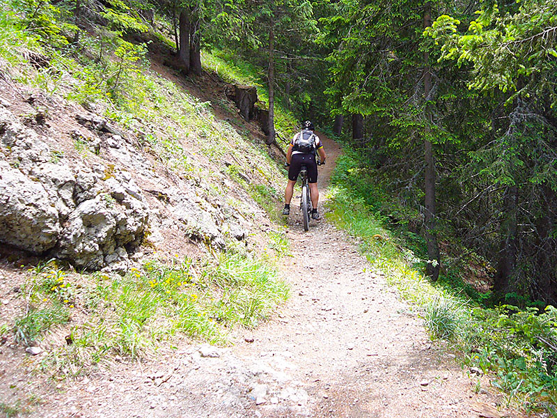 Ein schmaler Pfad f&uuml;hrt uns ...