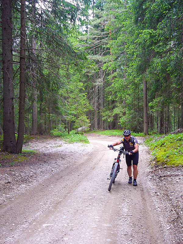 ... allerdings nicht so wie geplant :-(