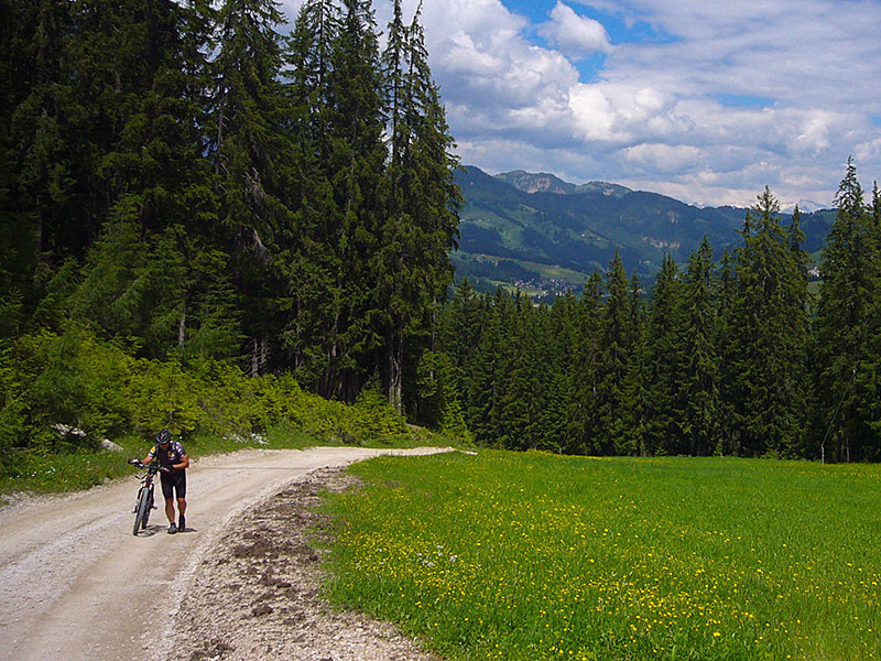 Das geht eine ganze Weile so :-(