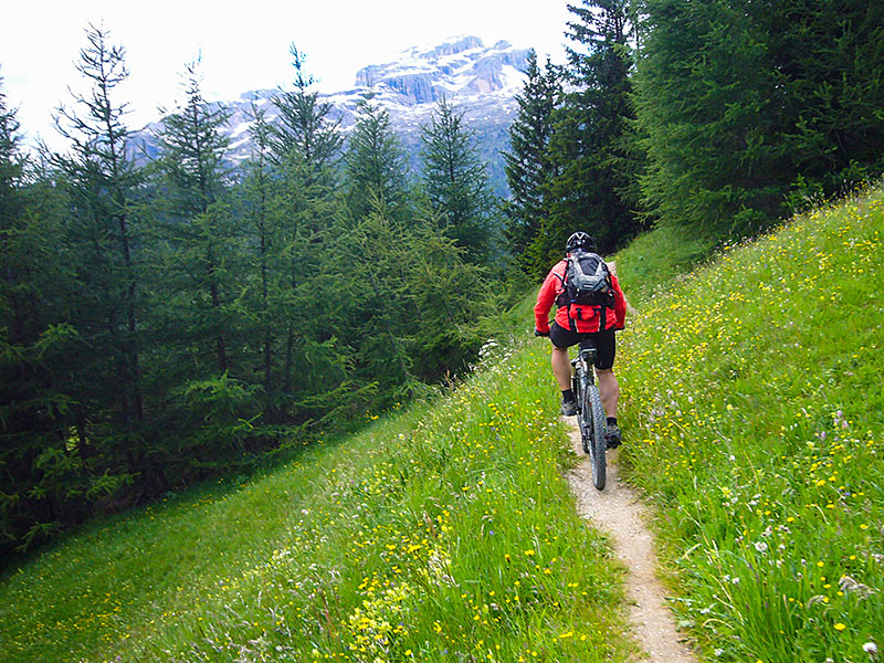 ... und &uuml;ber schmale Pfade