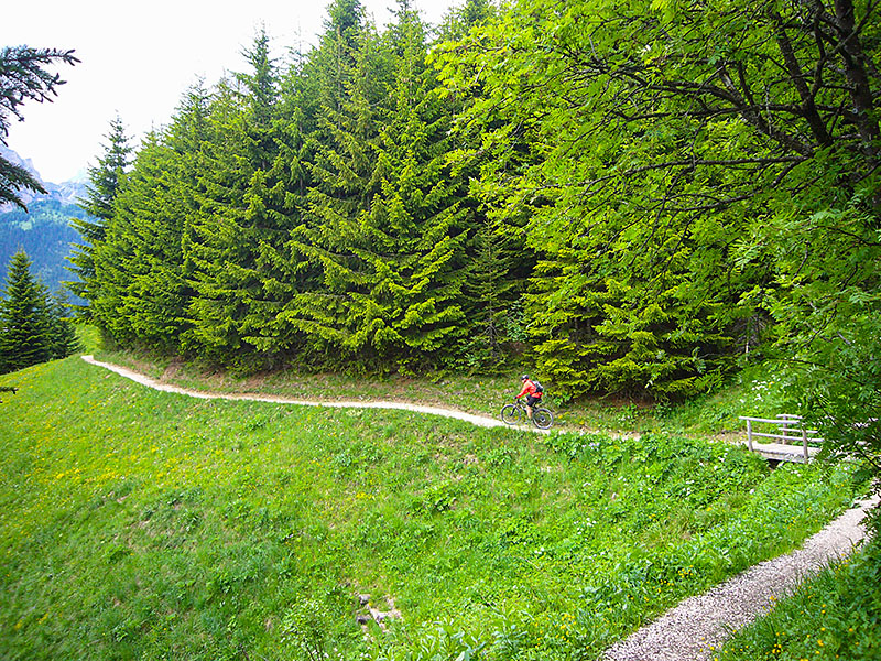 Auf diesem Weg fahren wir ...